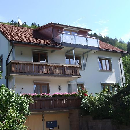 Haus Michler Apartman Todtnau Kültér fotó